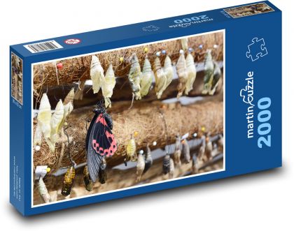 Butterfly - insects, hoods - Puzzle 2000 pieces, size 90x60 cm 