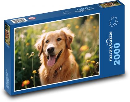 Hund - Tier auf der Wiese, Haustier - Puzzle - 2000 Teile