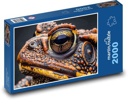Frosch - Amphibie, Tier - Puzzle - 2000 Teile