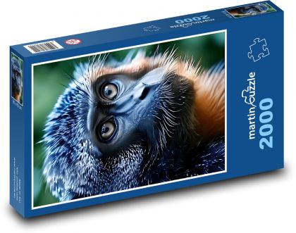 A baby monkey - Puzzle 2000 pieces, size 90x60 cm 