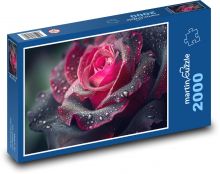 Kwiat róży po deszczu Puzzle 2000 elementów - 90x60 cm