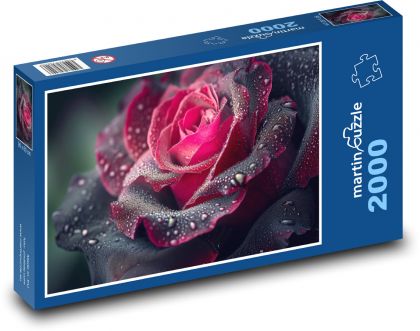 Kwiat róży po deszczu - Puzzle 2000 elementów, rozmiar 90x60 cm
