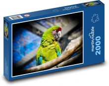 Pták papoušek na větvi Puzzle 2000 dílků - 90 x 60 cm