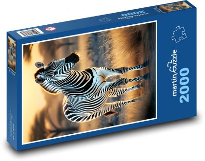 Zebra in the wild - Puzzle 2000 pieces, size 90x60 cm 