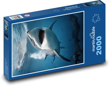 Žralok s vytasenými zuby - Puzzle 2000 dílků, rozměr 90x60 cm