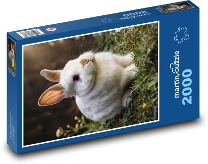White Rabbit in Grass - Puzzle 2000 pieces, size 90x60 cm 