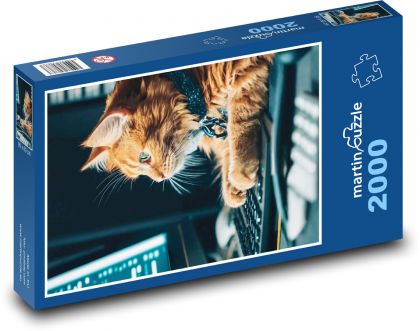 The cat works on the computer - Puzzle 2000 pieces, size 90x60 cm 