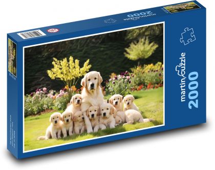 Mom Retriever z paczką szczeniaków - Puzzle 2000 elementów, rozmiar 90x60 cm