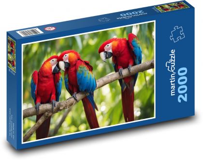 Papoušci ara na stromě - Puzzle 2000 dílků, rozměr 90x60 cm