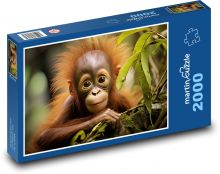 Süßer Baby-Orang-Utan Puzzle 2000 Teile - 90 x 60 cm