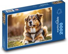 Pes při západu slunce Puzzle 2000 dílků - 90 x 60 cm