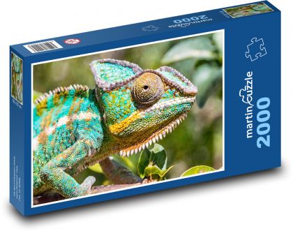 Plazící se barevný chameleón - Puzzle 2000 dílků, rozměr 90x60 cm