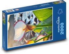 Bílá květina u řeky Puzzle 2000 - 90x60 cm