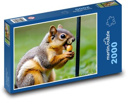 Veverička s občerstvením - Puzzle 2000 dielikov, rozmer 90x60 cm 