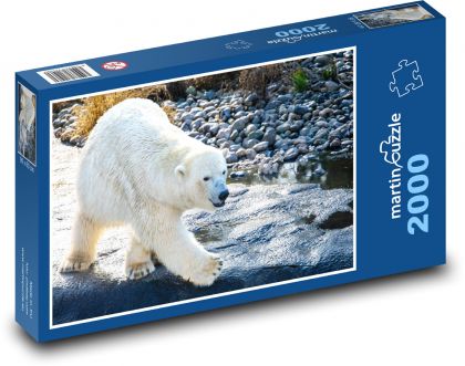 Niedźwiedź polarny - Puzzle 2000 elementów, rozmiar 90x60 cm