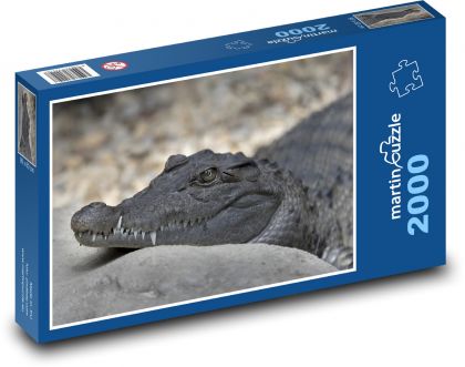 Odpočívajúci aligátor - Puzzle 2000 dielikov, rozmer 90x60 cm 