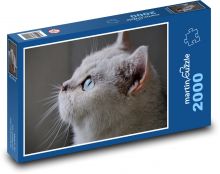 Grey cat with long beard Puzzle 2000 pieces - 90 x 60 cm