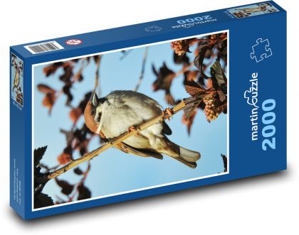 Vrabec hnedý na vetve - Puzzle 2000 dielikov, rozmer 90x60 cm 