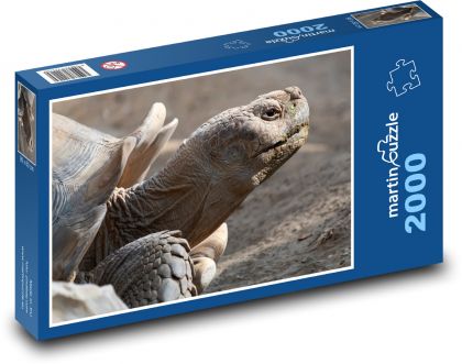 Obrovská želva - Puzzle 2000 dílků, rozměr 90x60 cm