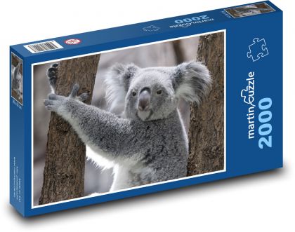 Koalabär. - Puzzle - 2000 Teile