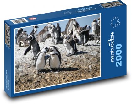 Tučňáci - Jihoafrická republika, Kapské město - Puzzle 2000 dílků, rozměr 90x60 cm