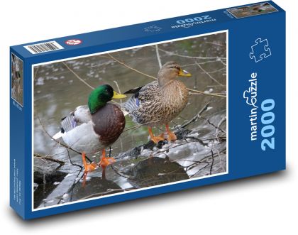 Enten auf einem gefrorenen Fluss - Puzzle - 2000 Teile