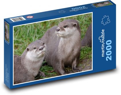 Vydry - puzzle 2000 dílků