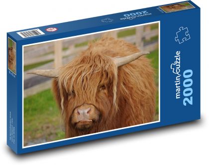 Kráva na farmě - Puzzle 2000 dílků, rozměr 90x60 cm
