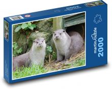 Vydra říční Puzzle 2000 dílků - 90 x 60 cm