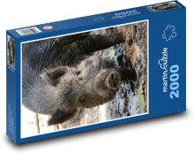 Wildschwein im Schlamm Puzzle 2000 Teile - 90 x 60 cm
