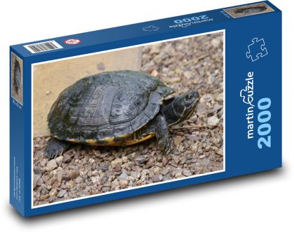 Gad - żółw - Puzzle 2000 elementów, rozmiar 90x60 cm