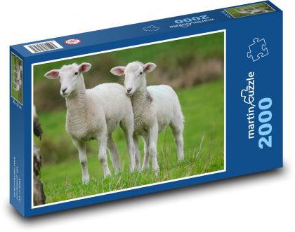 Jehňata na pastvě - puzzle 2000 dílků