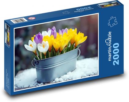Krokusy - jarní květiny, zima - Puzzle 2000 dílků, rozměr 90x60 cm