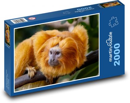 Tamarín - opica - Puzzle 2000 dielikov, rozmer 90x60 cm 