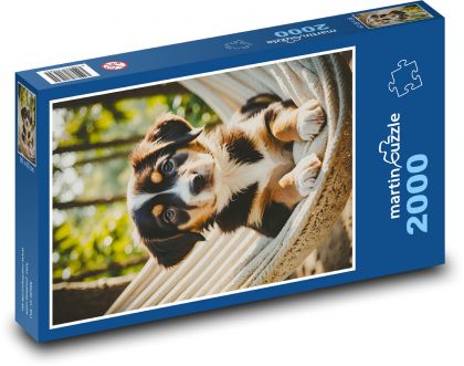 Puppy in a hammock - Puzzle 2000 pieces, size 90x60 cm 