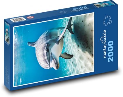 Delfin w morzu - Puzzle 2000 elementów, rozmiar 90x60 cm