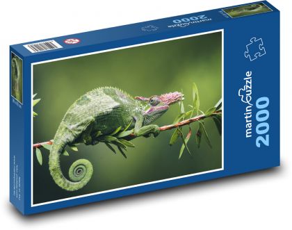 Zelený chameleón - puzzle 2000 dílků