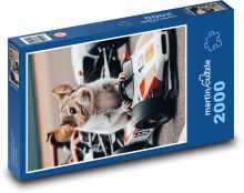 Myš v závodním autě Puzzle 2000 - 90x60 cm