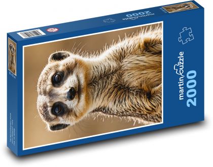 Surikata - puzzle 2000 dílků