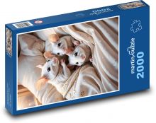 Biele myši v posteli Puzzle 2000 dielikov - 90 x 60 cm