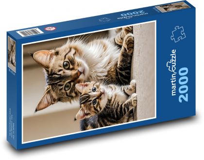 Mačka s mačiatkom - Puzzle 2000 dielikov, rozmer 90x60 cm 