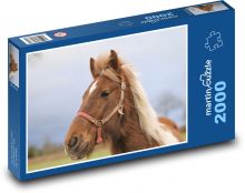 Hnědý kůň Puzzle 2000 dílků - 90 x 60 cm
