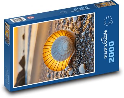 Měkkýš na pláži - puzzle 2000 dílků