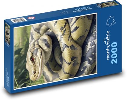 Had - puzzle 2000 dílků