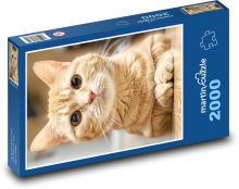 Kot z długą brodą Puzzle 2000 elementów - 90x60 cm