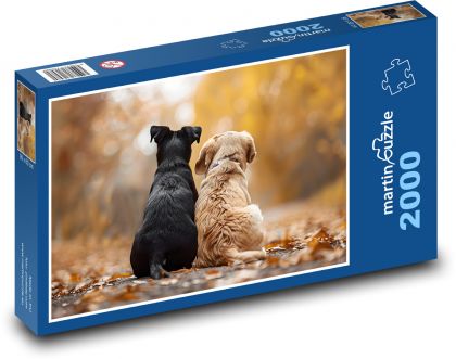 Dogs sitting on the road - Puzzle 2000 pieces, size 90x60 cm 