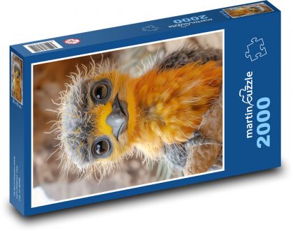 Pomarańczowy ptak - Puzzle 2000 elementów, rozmiar 90x60 cm