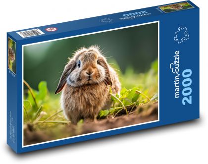 Królik z dużymi uszami - Puzzle 2000 elementów, rozmiar 90x60 cm