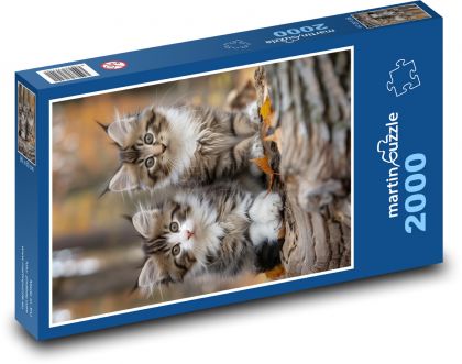 Kočky - puzzle 2000 dílků