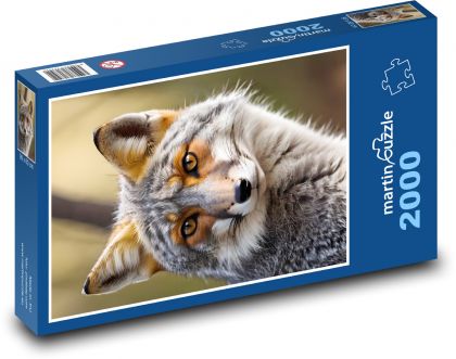 Fox. - Puzzle - 2000 Teile